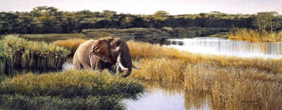 Mzinene Elephant - 1993 Johan Hoekstra Wildlife Art (A3 Signed Print)
